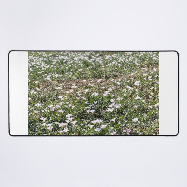 Item preview, Field Of Pale Pink Wildflowers Blanketing A Sunny Spring Meadow With Green Ground cover designed and sold by Nmallia.