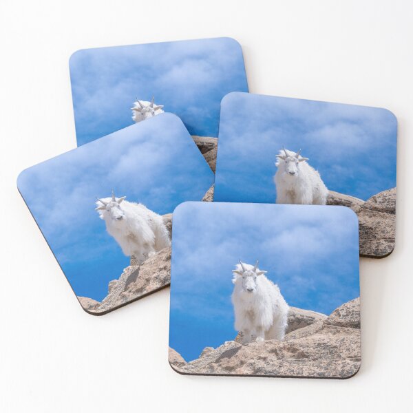 Item preview, Mountain Goat in Rocky Mountain National Park designed and sold by PeakActionPhoto.