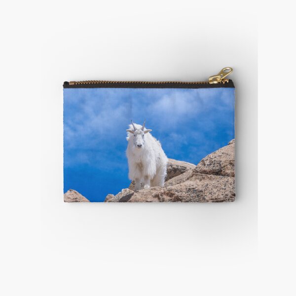 Artikelvorschau, Bergziege im Rocky-Mountain-Nationalpark entworfen und verkauft von PeakActionPhoto.