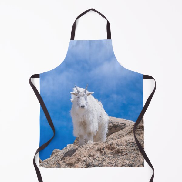 Item preview, Mountain Goat in Rocky Mountain National Park designed and sold by PeakActionPhoto.