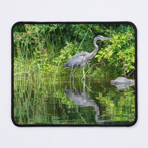 Item preview, Great Blue Heron in the Reeds designed and sold by PeakActionPhoto.