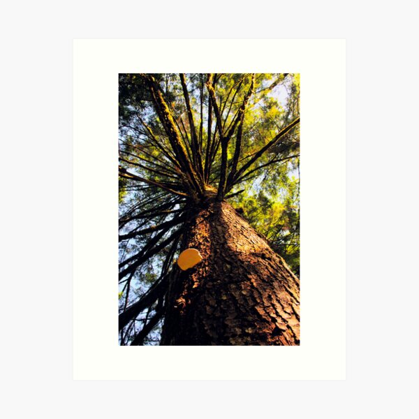 Item preview, Tree designed and sold by MaluC.