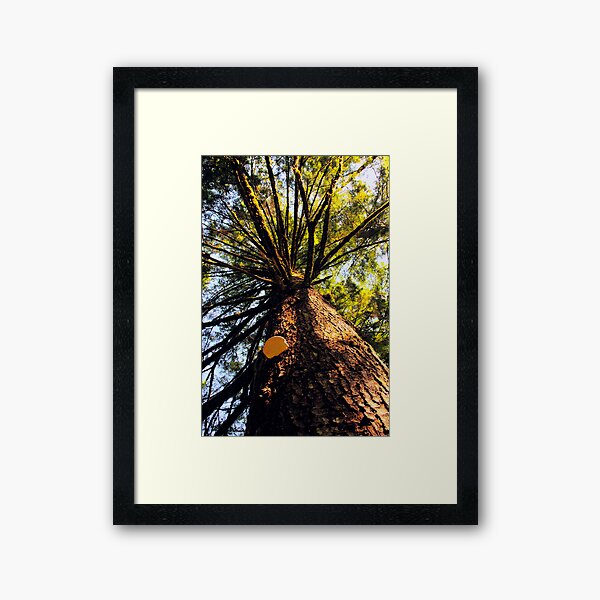 Item preview, Tree designed and sold by MaluC.