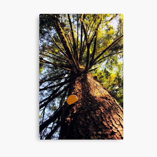 Item preview, Tree designed and sold by MaluC.