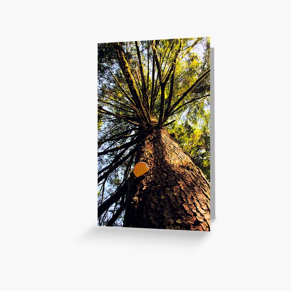 Item preview, Tree designed and sold by MaluC.
