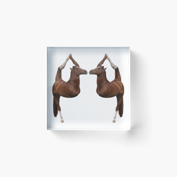 Item preview, Cursed 2 Flexible Horses Meme designed and sold by CamilasPrints.
