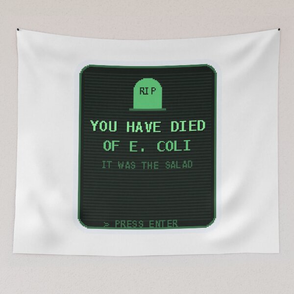 Item preview, You Have Died of E. Coli — Funny Retro Game Death Screen Sticker designed and sold by One More Run.