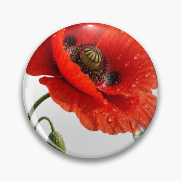 Item preview, Ladybug Flying to Dewy Red Poppy designed and sold by Line-mood.