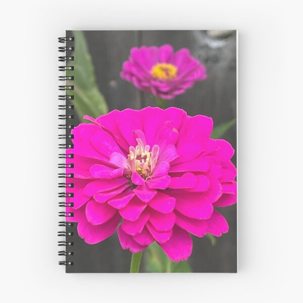 Item preview, Zinnia designed and sold by Zinnia57.