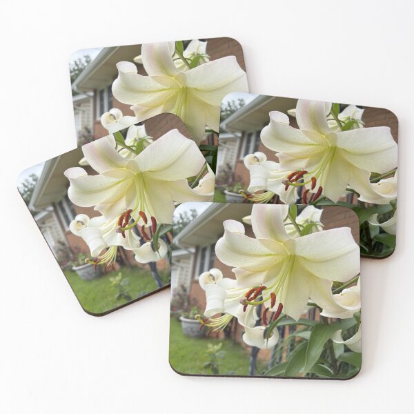Item preview, Gran lirio blanco designed and sold by Zinnia57.