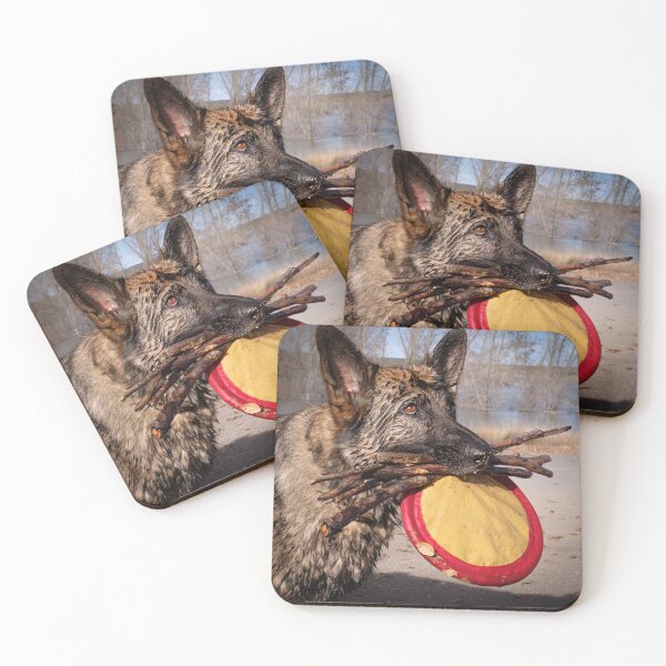 Item preview, Dog Fetches Disc and Sticks designed and sold by MaryLeePhoto.