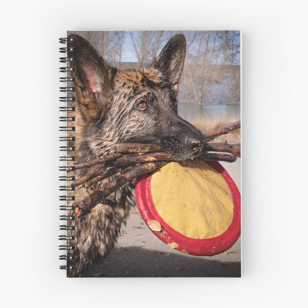 Item preview, Dog Fetches Disc and Sticks designed and sold by MaryLeePhoto.