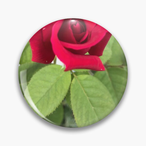 Item preview, Red rose designed and sold by Zinnia57.