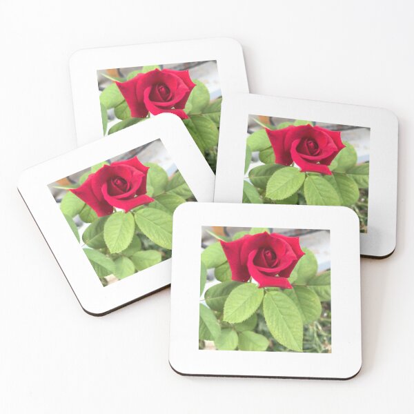 Item preview, Red rose designed and sold by Zinnia57.