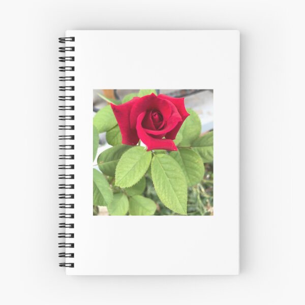 Item preview, Red rose designed and sold by Zinnia57.