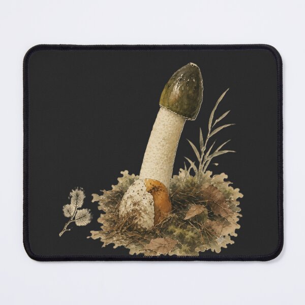 Item preview, Woodland Stinkhorn Watercolor Illustration designed and sold by 63Hotpeppers.