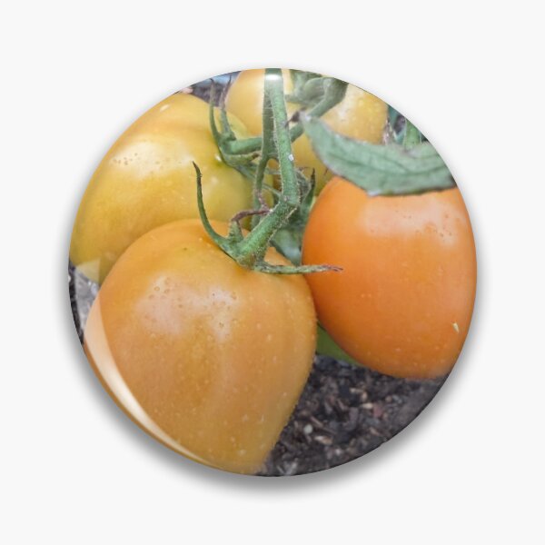 Item preview, Roma tomatos on the vine designed and sold by Zinnia57.