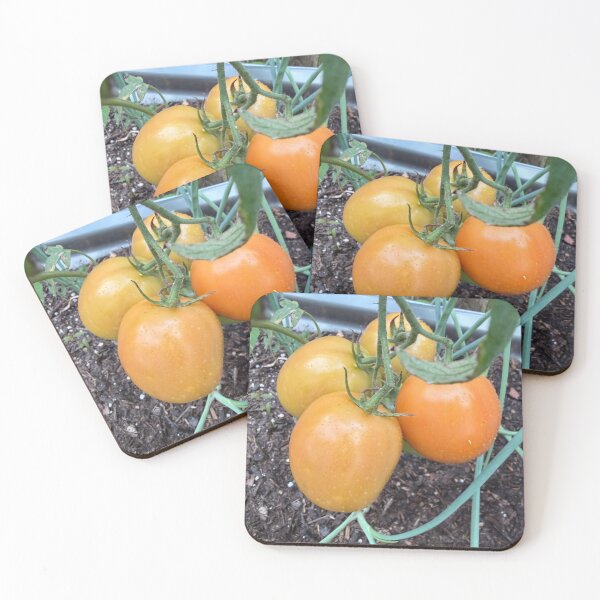 Item preview, Roma tomatos on the vine designed and sold by Zinnia57.