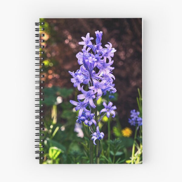 Item preview, The Bluebell, Macro designed and sold by Tom McPherson Photography.