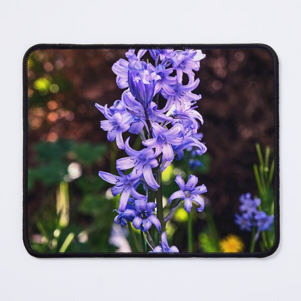 Item preview, The Bluebell, Macro designed and sold by Tom McPherson Photography.