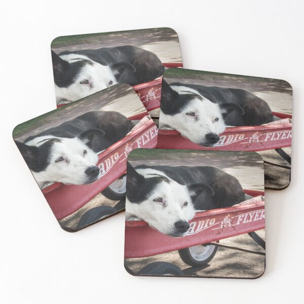 Item preview, Black and White Dog Waiting in Radio Flyer designed and sold by MaryLeePhoto.