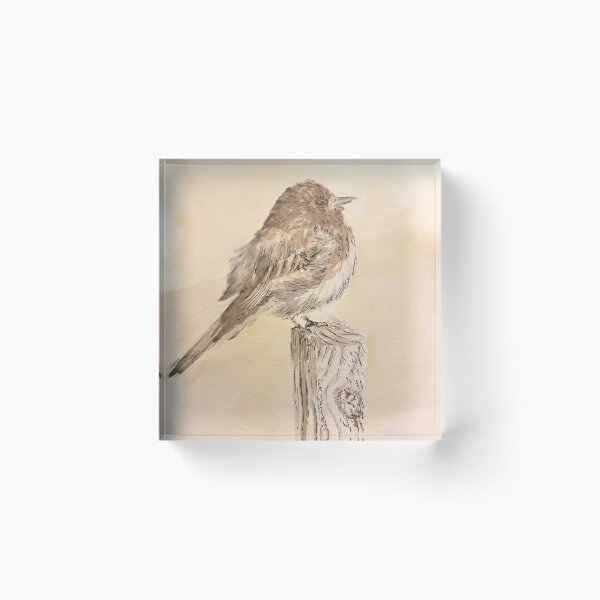 Item preview, Bird painting/illustration  designed and sold by mv-art26.