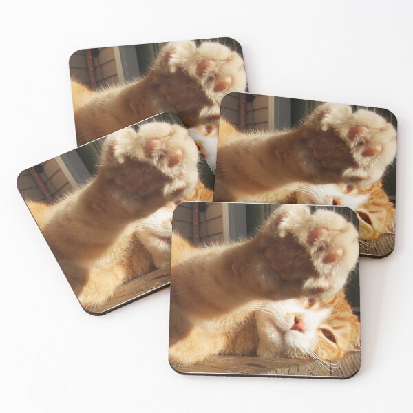 Item preview, Orange Tabby Paw Coming At You designed and sold by MaryLeePhoto.