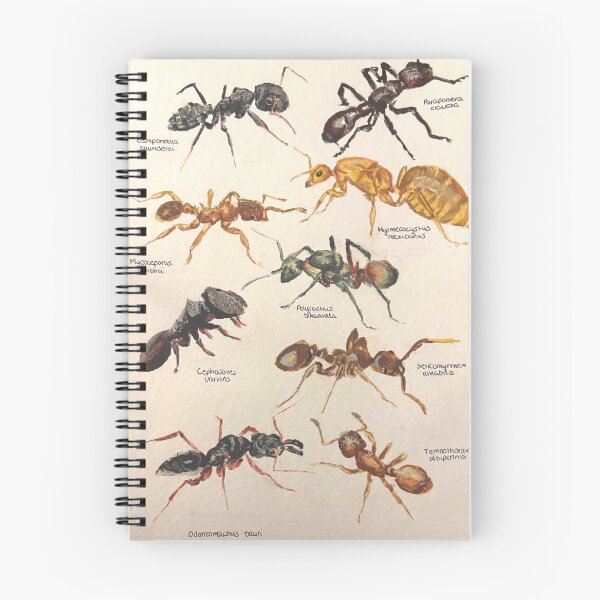 Item preview, Ant species poster designed and sold by mv-art26.