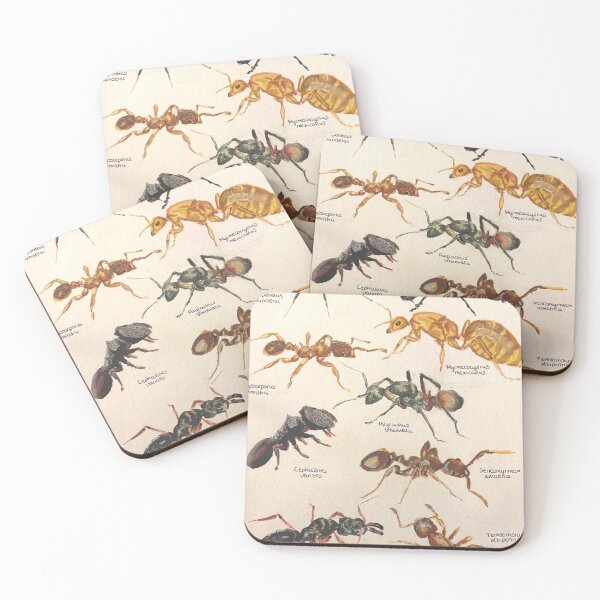 Item preview, Ant species poster designed and sold by mv-art26.
