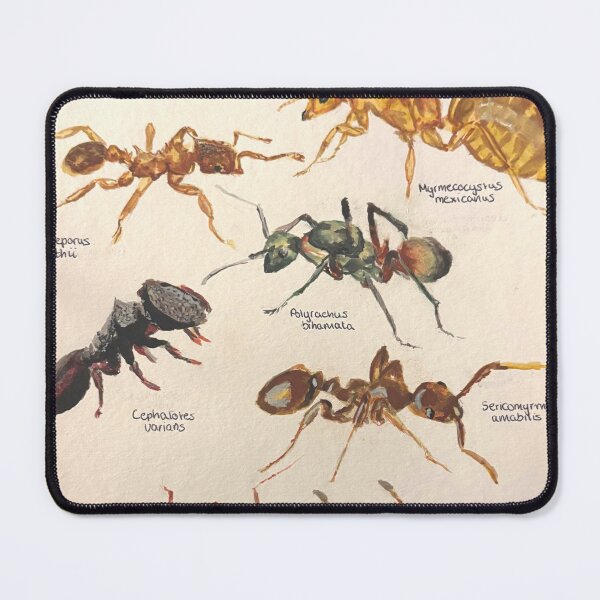 Item preview, Ant species poster designed and sold by mv-art26.