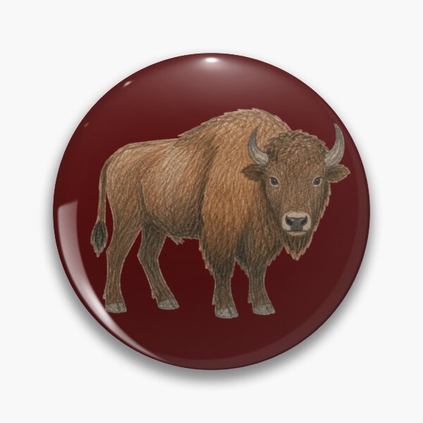 Aperçu de l'œuvre Bison d’Europe au crayon – Żubr sauvage créée et vendue par JOANNASKAH.