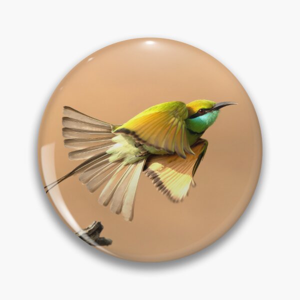 Item preview, Little Green Bee Eater designed and sold by Ianthe-Safari.