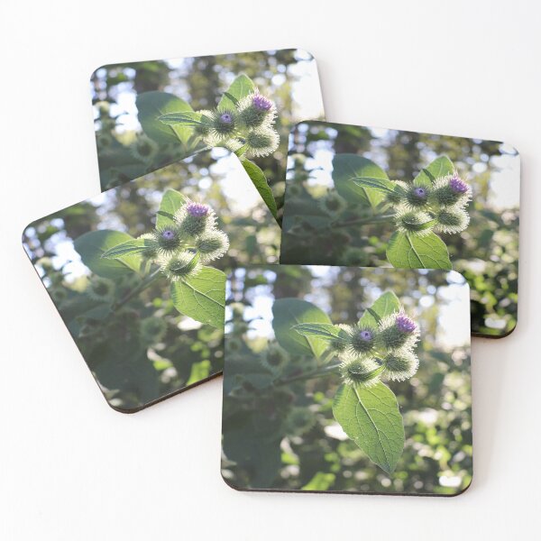 Item preview, Early Morning Burdock designed and sold by terraartemisia.