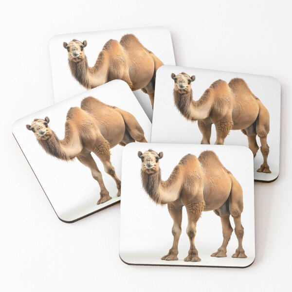 Item preview, Bactrian camel designed and sold by singnup.