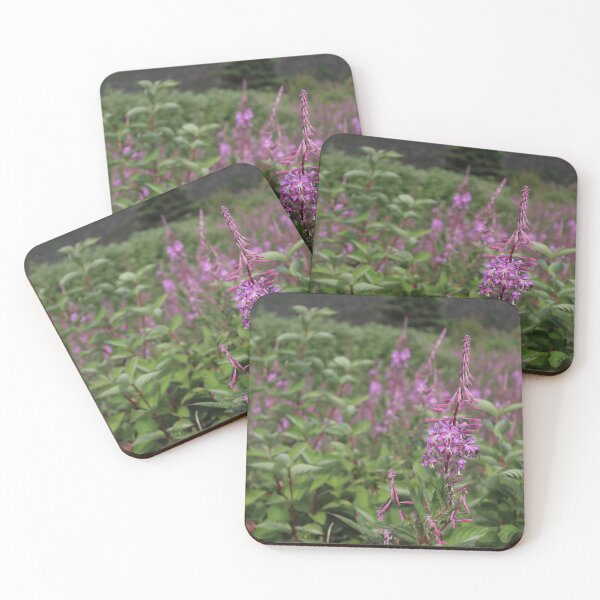 Item preview, Fireweed in Gaspé designed and sold by terraartemisia.