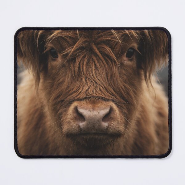 Item preview, Highland Cow Boho Farmhouse Decor Floral Cow Portrait Rustic Country Home Art Cottage Style designed and sold by Kzara Visual.