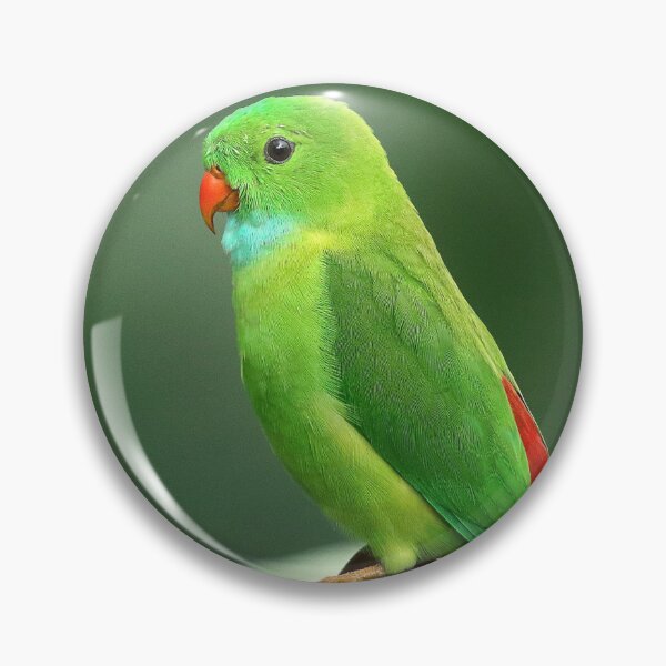 Item preview, little green bird designed and sold by singnup.