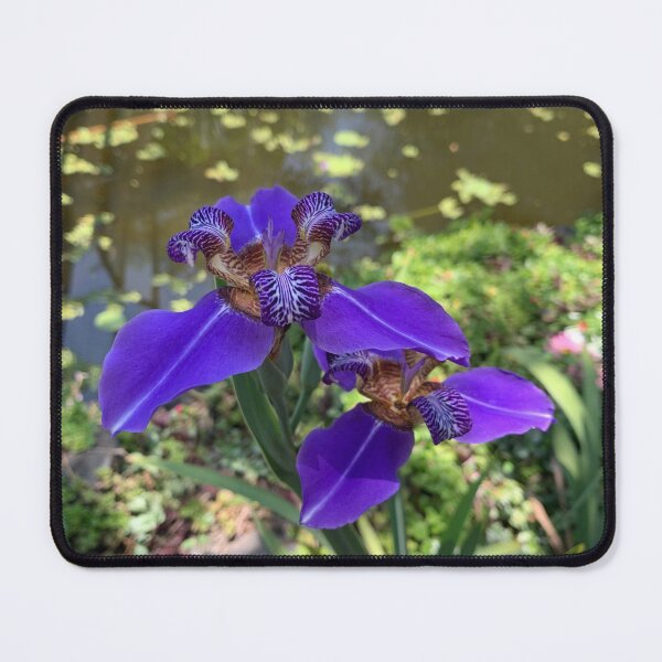 Item preview, Fleur D'Iris designed and sold by terraartemisia.