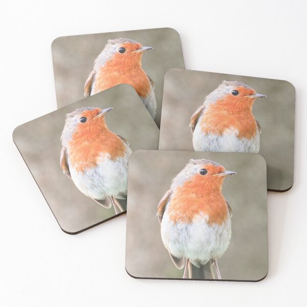 Item preview, Robin in the Garden designed and sold by MattsPhotos93.