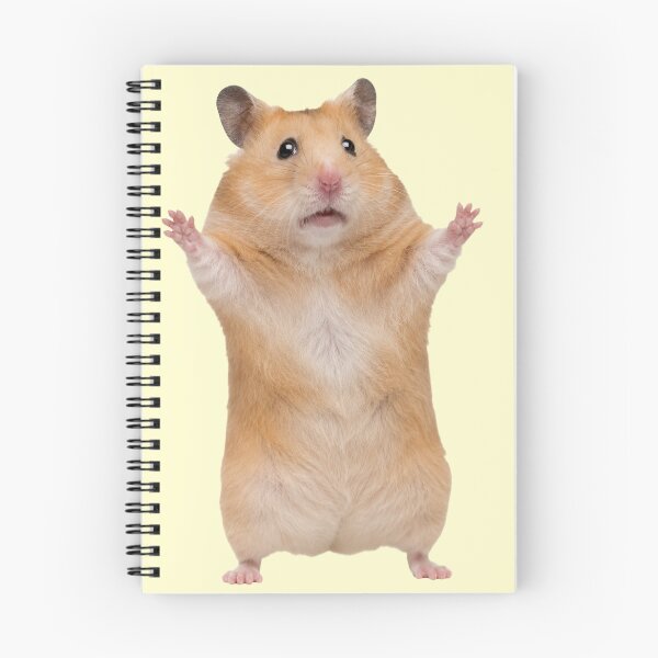 Item preview, Surprised Cute Hamster Kids Room Illustration designed and sold by bosamji.