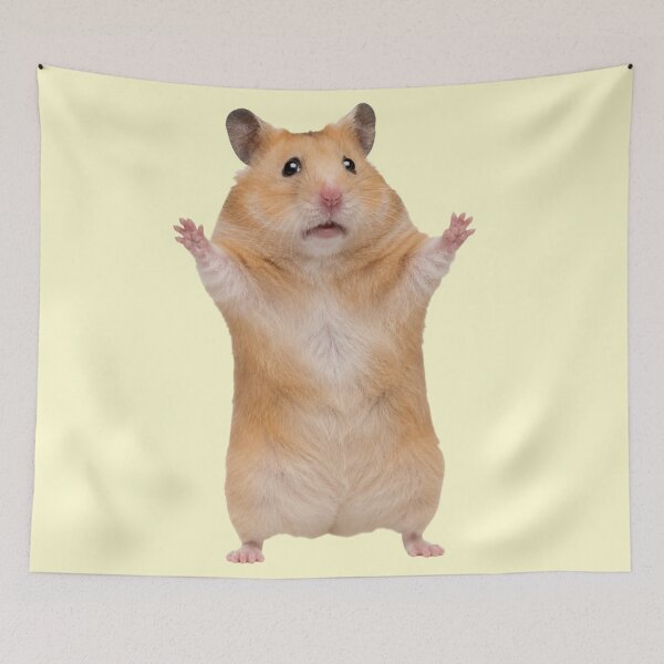 Item preview, Surprised Cute Hamster Kids Room Illustration designed and sold by bosamji.