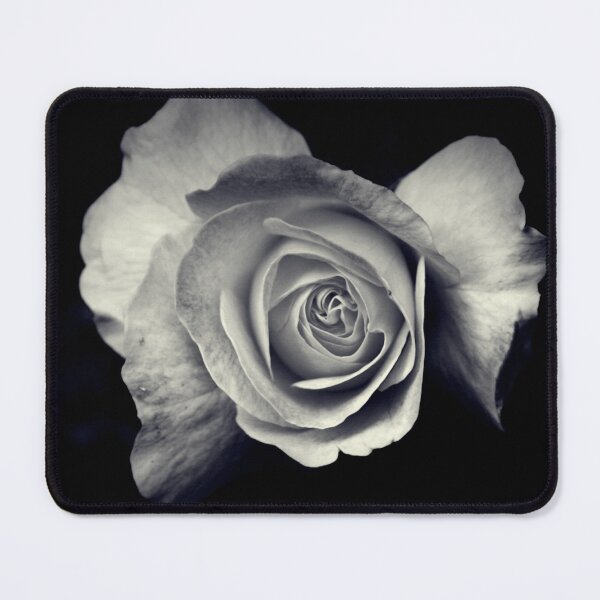Item preview, Monochrome Rose designed and sold by Rachel J Bowler.