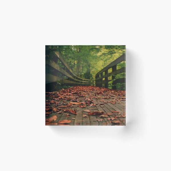 Item preview, Autumn Vibrancy designed and sold by Matthew Addison’s Photography.