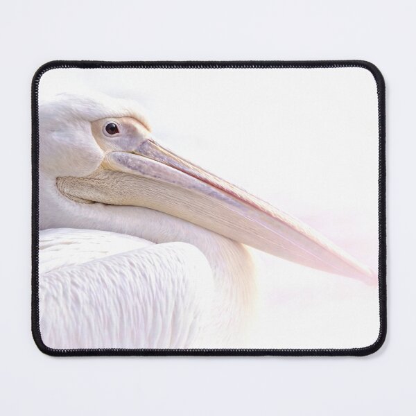Item preview, Pelican Wall Art White Bird Photography Coastal Wildlife Decor Elegant Nature Print Minimalist Beach House Bird Photography designed and sold by Kzara Visual.