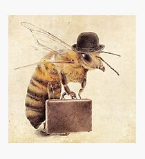 Worker Bee Photographic Print