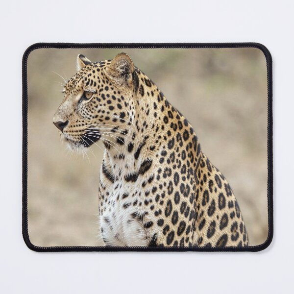 Item preview, Leopard Wildlife Wall Art African Safari Photography Big Cat Nature Print Luxury Animal Home Decor  Big 5 Cat designed and sold by Kzara Visual.