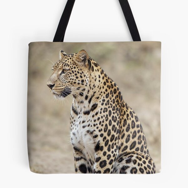 Item preview, Leopard Wildlife Wall Art African Safari Photography Big Cat Nature Print Luxury Animal Home Decor  Big 5 Cat designed and sold by Kzara Visual.