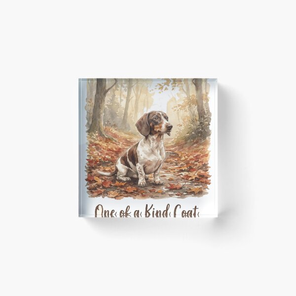 Item preview, One of a Kind Coat Piebald Dachshund Autumn Watercolor Art designed and sold by jgoteiner.