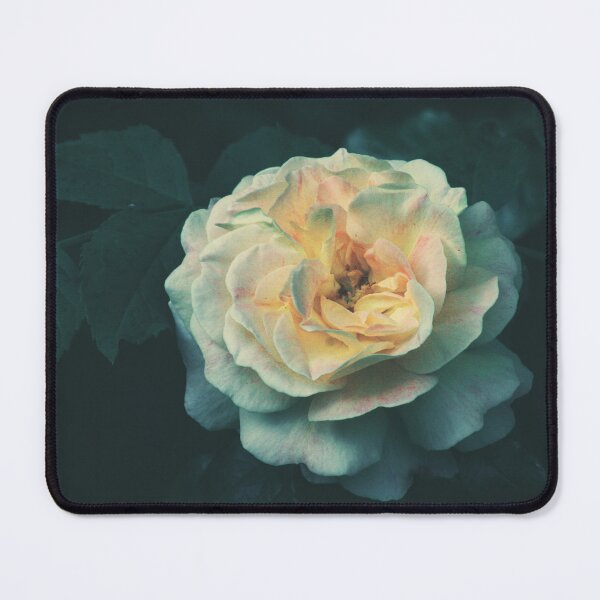 Item preview, Delicate Rose designed and sold by Rachel J Bowler.