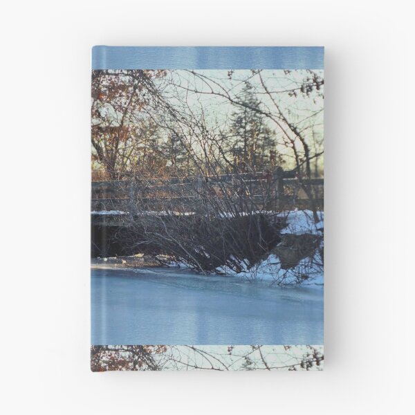 Item preview, Winter Scene designed and sold by DSkainPhotos.